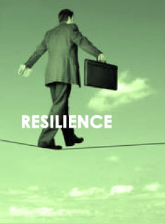 Resilience - Prof. Victoria Andrea Muñoz Serra