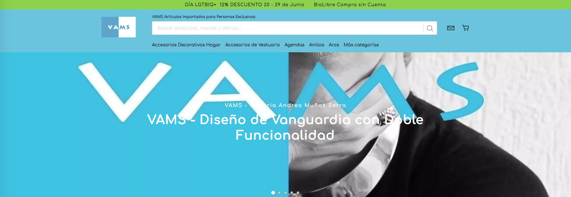 Store Website: VAMS by Victoria Andrea Muñoz Serra