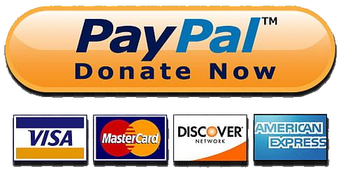 Donation via Paypal for website maintenance